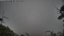 ./images/calvert/fitz-hugh-hecate/20250603/fitz-hugh-hecate20250603_201009M.jpg