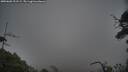 ./images/calvert/fitz-hugh-hecate/20250603/fitz-hugh-hecate20250603_201509M.jpg