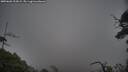 ./images/calvert/fitz-hugh-hecate/20250603/fitz-hugh-hecate20250603_202009M.jpg