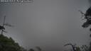 ./images/calvert/fitz-hugh-hecate/20250603/fitz-hugh-hecate20250603_202508M.jpg
