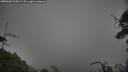 ./images/calvert/fitz-hugh-hecate/20250603/fitz-hugh-hecate20250603_203008M.jpg
