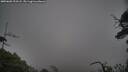 ./images/calvert/fitz-hugh-hecate/20250603/fitz-hugh-hecate20250603_203507M.jpg
