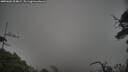 ./images/calvert/fitz-hugh-hecate/20250603/fitz-hugh-hecate20250603_204009M.jpg