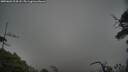./images/calvert/fitz-hugh-hecate/20250603/fitz-hugh-hecate20250603_204508M.jpg