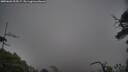 ./images/calvert/fitz-hugh-hecate/20250603/fitz-hugh-hecate20250603_205007M.jpg