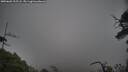 ./images/calvert/fitz-hugh-hecate/20250603/fitz-hugh-hecate20250603_205508M.jpg
