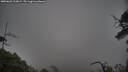 ./images/calvert/fitz-hugh-hecate/20250603/fitz-hugh-hecate20250603_210008M.jpg