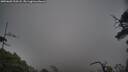 ./images/calvert/fitz-hugh-hecate/20250603/fitz-hugh-hecate20250603_210508M.jpg