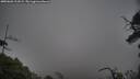 ./images/calvert/fitz-hugh-hecate/20250603/fitz-hugh-hecate20250603_211009M.jpg