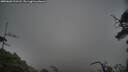 ./images/calvert/fitz-hugh-hecate/20250603/fitz-hugh-hecate20250603_211508M.jpg