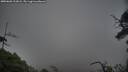 ./images/calvert/fitz-hugh-hecate/20250603/fitz-hugh-hecate20250603_212007M.jpg