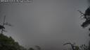 ./images/calvert/fitz-hugh-hecate/20250603/fitz-hugh-hecate20250603_212508M.jpg