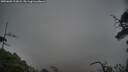 ./images/calvert/fitz-hugh-hecate/20250603/fitz-hugh-hecate20250603_213008M.jpg