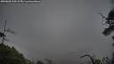 ./images/calvert/fitz-hugh-hecate/20250603/fitz-hugh-hecate20250603_213508M.jpg
