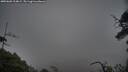 ./images/calvert/fitz-hugh-hecate/20250603/fitz-hugh-hecate20250603_214009M.jpg