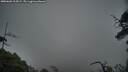./images/calvert/fitz-hugh-hecate/20250603/fitz-hugh-hecate20250603_214509M.jpg