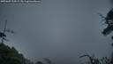 ./images/calvert/fitz-hugh-hecate/20250603/fitz-hugh-hecate20250603_215009M.jpg