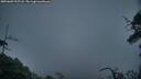 ./images/calvert/fitz-hugh-hecate/20250603/fitz-hugh-hecate20250603_215508M.jpg