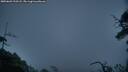 ./images/calvert/fitz-hugh-hecate/20250603/fitz-hugh-hecate20250603_220508M.jpg