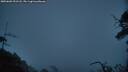 ./images/calvert/fitz-hugh-hecate/20250603/fitz-hugh-hecate20250603_221508M.jpg