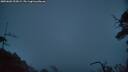 ./images/calvert/fitz-hugh-hecate/20250603/fitz-hugh-hecate20250603_222009M.jpg