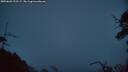 ./images/calvert/fitz-hugh-hecate/20250603/fitz-hugh-hecate20250603_222508M.jpg