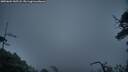 ./images/calvert/fitz-hugh-hecate/20250604/fitz-hugh-hecate20250604_045507M.jpg