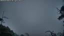 ./images/calvert/fitz-hugh-hecate/20250604/fitz-hugh-hecate20250604_050008M.jpg