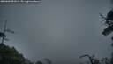./images/calvert/fitz-hugh-hecate/20250604/fitz-hugh-hecate20250604_051008M.jpg