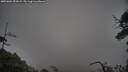 ./images/calvert/fitz-hugh-hecate/20250604/fitz-hugh-hecate20250604_052009M.jpg