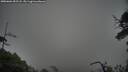 ./images/calvert/fitz-hugh-hecate/20250604/fitz-hugh-hecate20250604_052508M.jpg