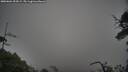 ./images/calvert/fitz-hugh-hecate/20250604/fitz-hugh-hecate20250604_053008M.jpg