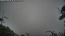 ./images/calvert/fitz-hugh-hecate/20250604/fitz-hugh-hecate20250604_053507M.jpg