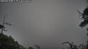 ./images/calvert/fitz-hugh-hecate/20250604/fitz-hugh-hecate20250604_054007M.jpg
