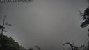 ./images/calvert/fitz-hugh-hecate/20250604/fitz-hugh-hecate20250604_055008M.jpg