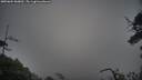 ./images/calvert/fitz-hugh-hecate/20250604/fitz-hugh-hecate20250604_060011M.jpg