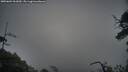 ./images/calvert/fitz-hugh-hecate/20250604/fitz-hugh-hecate20250604_061010M.jpg
