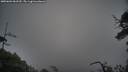 ./images/calvert/fitz-hugh-hecate/20250604/fitz-hugh-hecate20250604_061509M.jpg