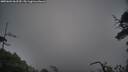 ./images/calvert/fitz-hugh-hecate/20250604/fitz-hugh-hecate20250604_062510M.jpg