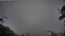 ./images/calvert/fitz-hugh-hecate/20250604/fitz-hugh-hecate20250604_063008M.jpg