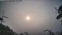 ./images/calvert/fitz-hugh-hecate/20250604/fitz-hugh-hecate20250604_063506M.jpg