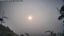 ./images/calvert/fitz-hugh-hecate/20250604/fitz-hugh-hecate20250604_064510M.jpg