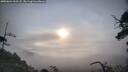 ./images/calvert/fitz-hugh-hecate/20250604/fitz-hugh-hecate20250604_065508M.jpg