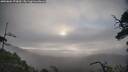 ./images/calvert/fitz-hugh-hecate/20250604/fitz-hugh-hecate20250604_070010M.jpg