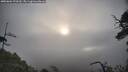 ./images/calvert/fitz-hugh-hecate/20250604/fitz-hugh-hecate20250604_070509M.jpg