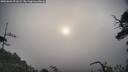 ./images/calvert/fitz-hugh-hecate/20250604/fitz-hugh-hecate20250604_071009M.jpg