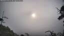 ./images/calvert/fitz-hugh-hecate/20250604/fitz-hugh-hecate20250604_071509M.jpg