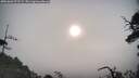 ./images/calvert/fitz-hugh-hecate/20250604/fitz-hugh-hecate20250604_072509M.jpg