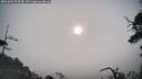 ./images/calvert/fitz-hugh-hecate/20250604/fitz-hugh-hecate20250604_073010M.jpg