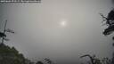 ./images/calvert/fitz-hugh-hecate/20250604/fitz-hugh-hecate20250604_073509M.jpg